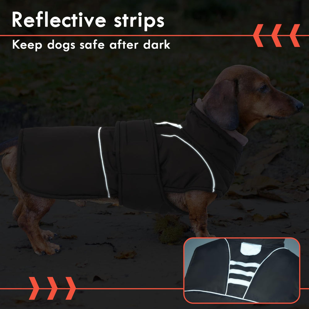 SeranPup gray dog coat antique decorative accents add stylish detail.