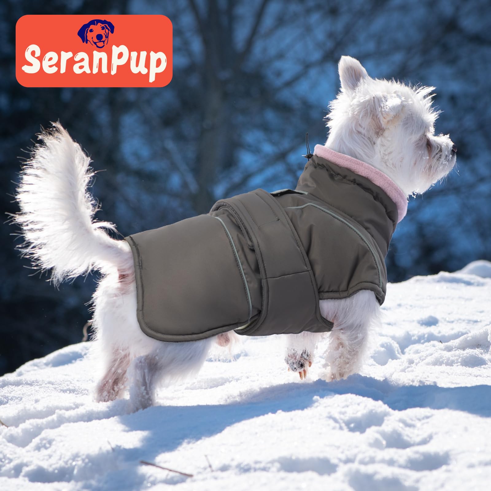 SeranPup gray dog coat on dog during a windy walk in snow.