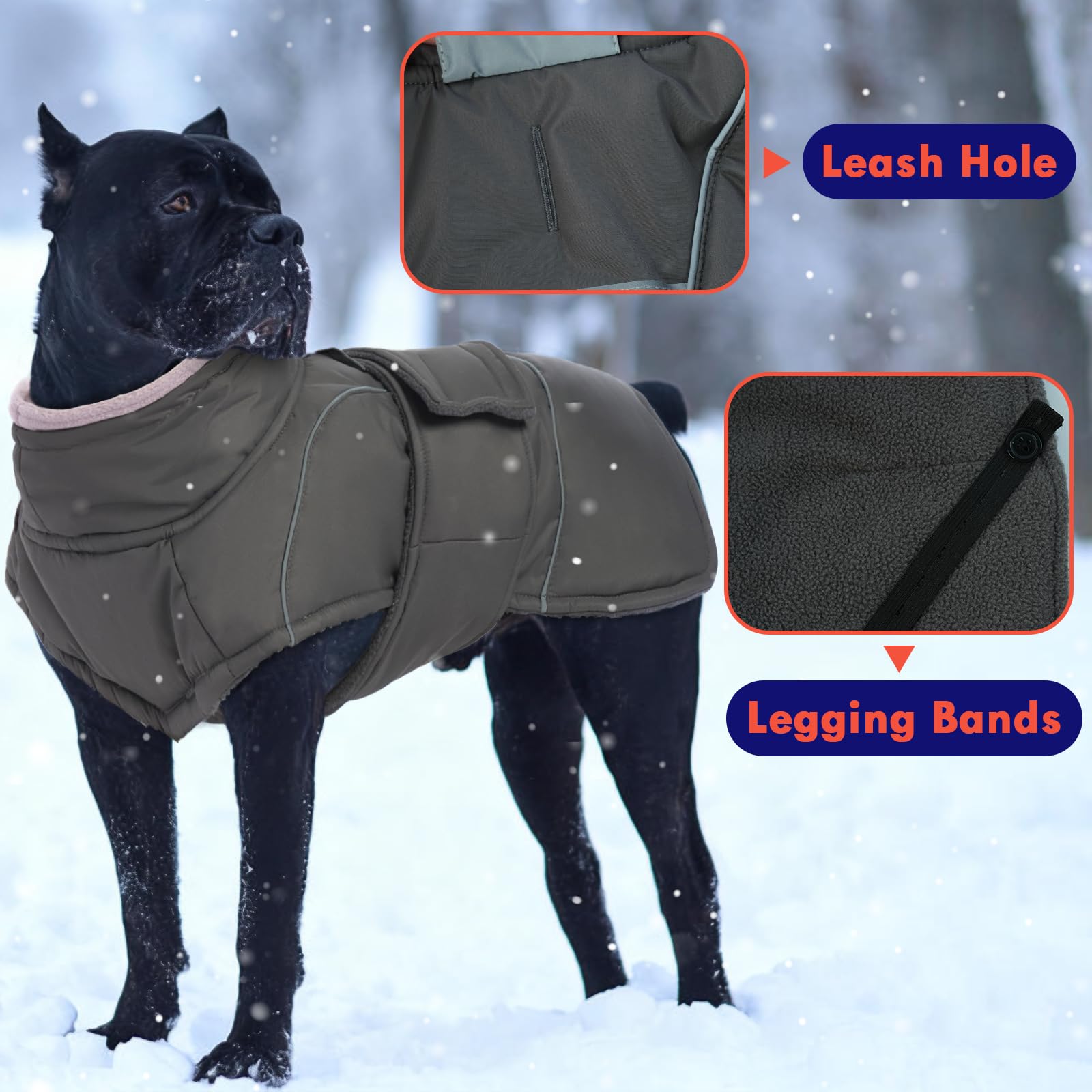 SeranPup gray dog coat waterproof shell protects in damp or snowy days.