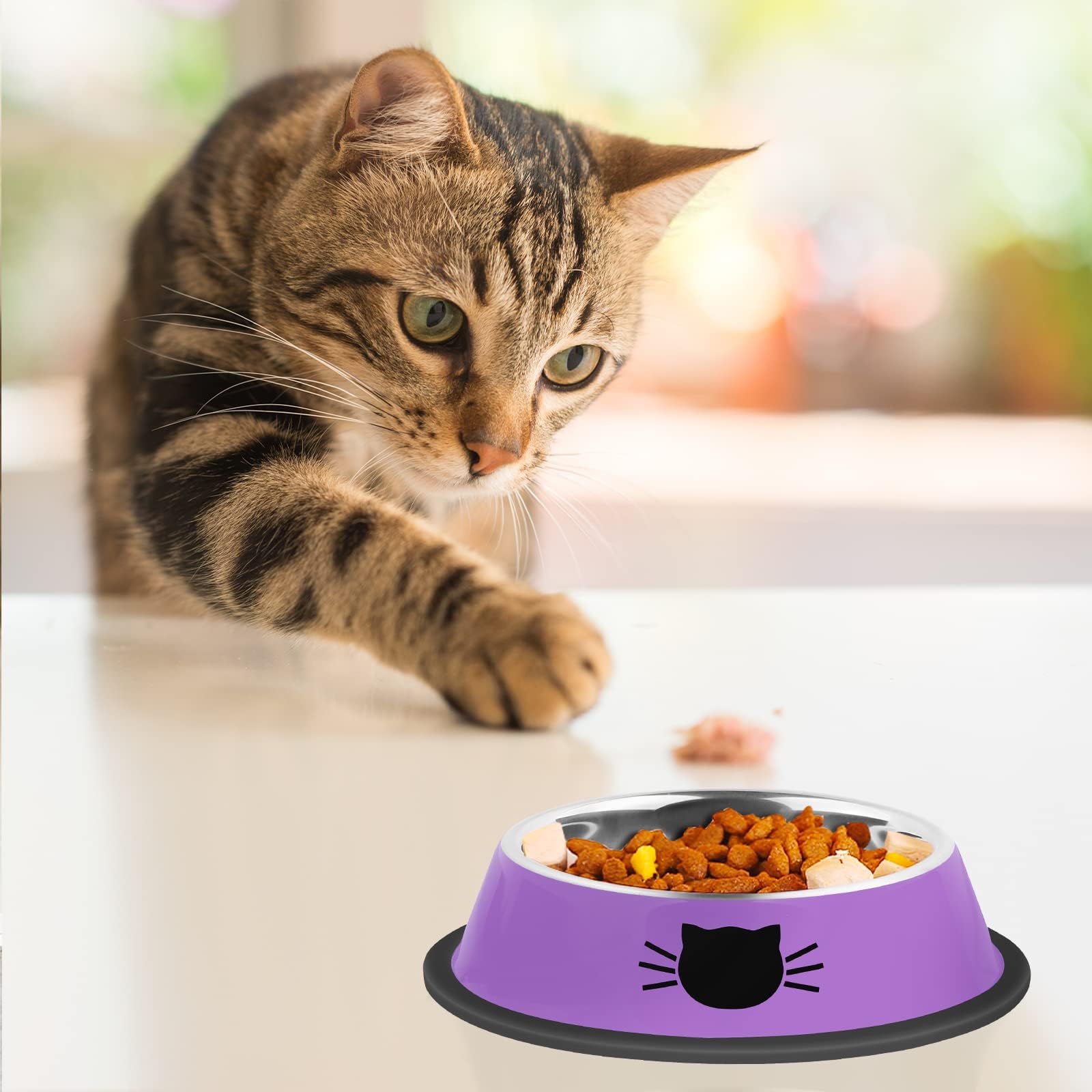 Serentive easy-clean stainless bowls simplify washing after pet meals