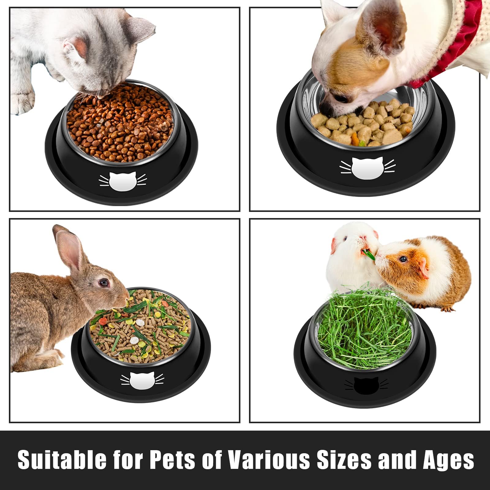 Serentive wide shallow 7oz bowls support whisker-friendly dining.