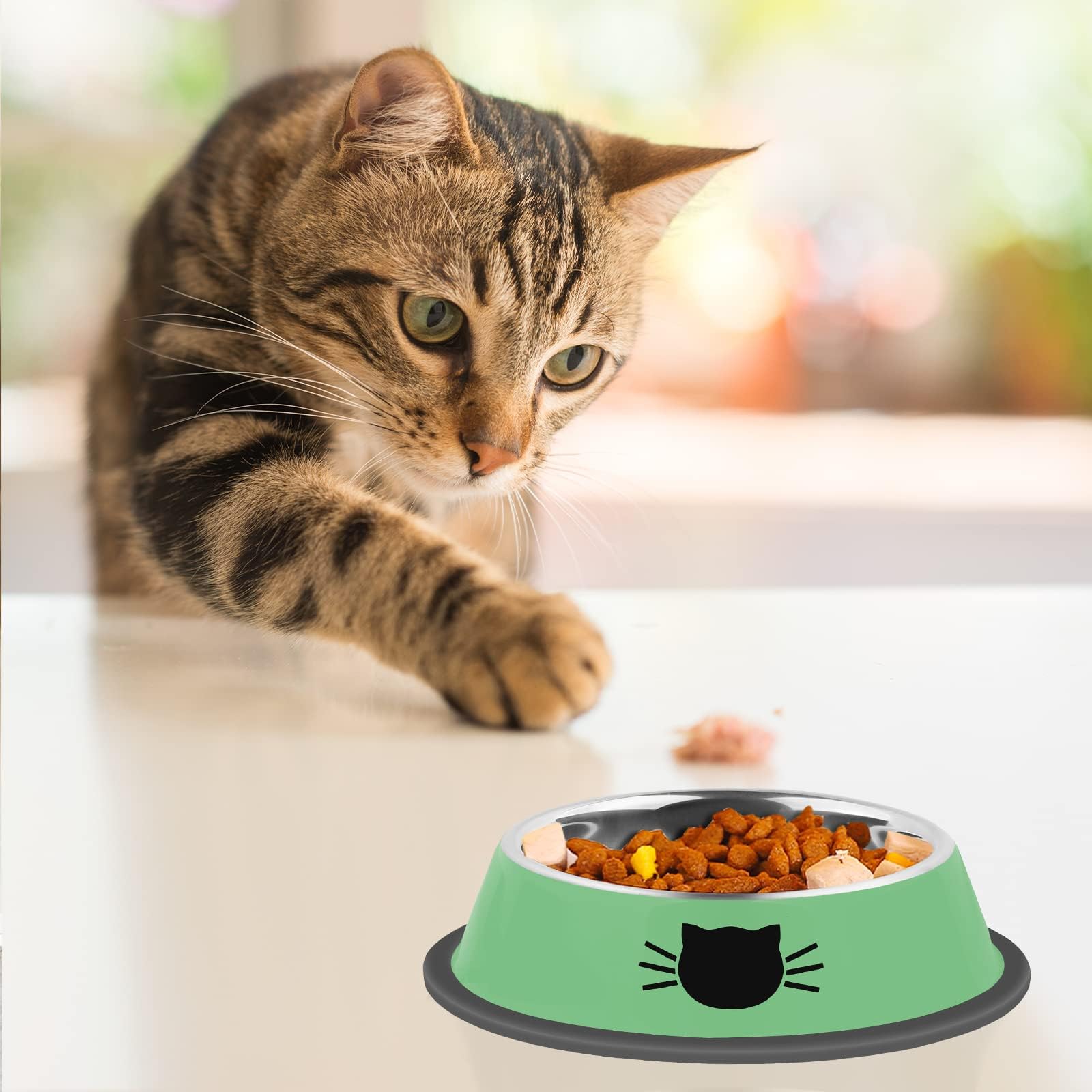 Serentive wide shallow design reduces whisker fatigue during meals.