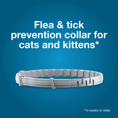 Seresto Cat collar demonstrates fast flea kill within 24 hours.