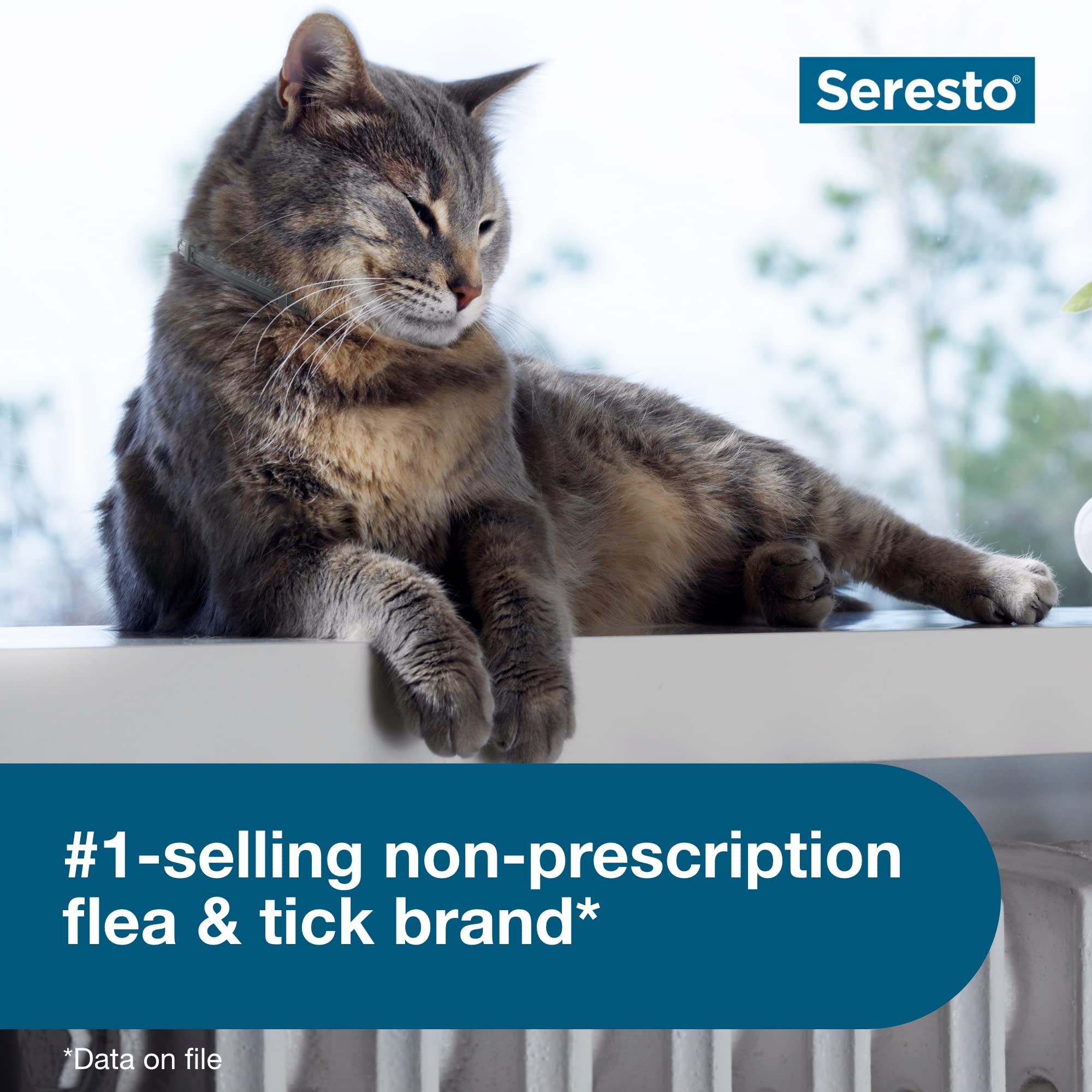 Cat wearing Seresto collar outdoors, with flea and tick protection.