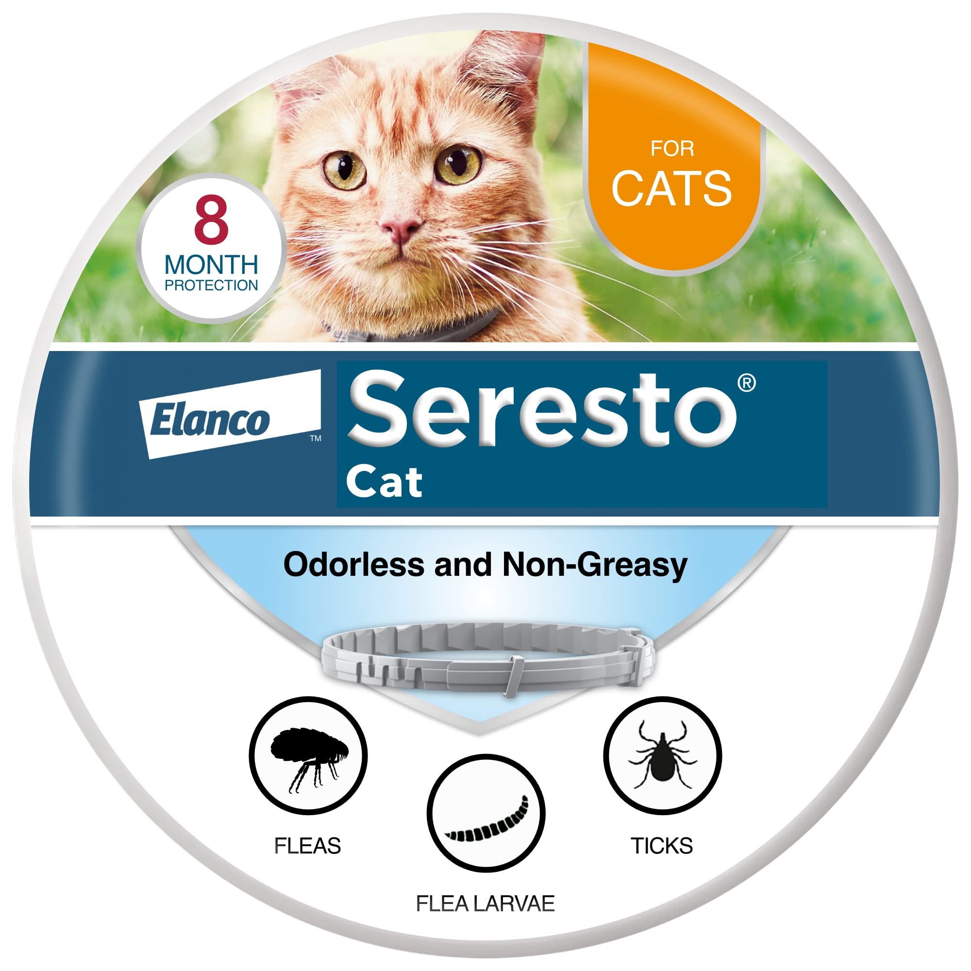 Seresto Cat collar on cat for eight-month flea protection.
