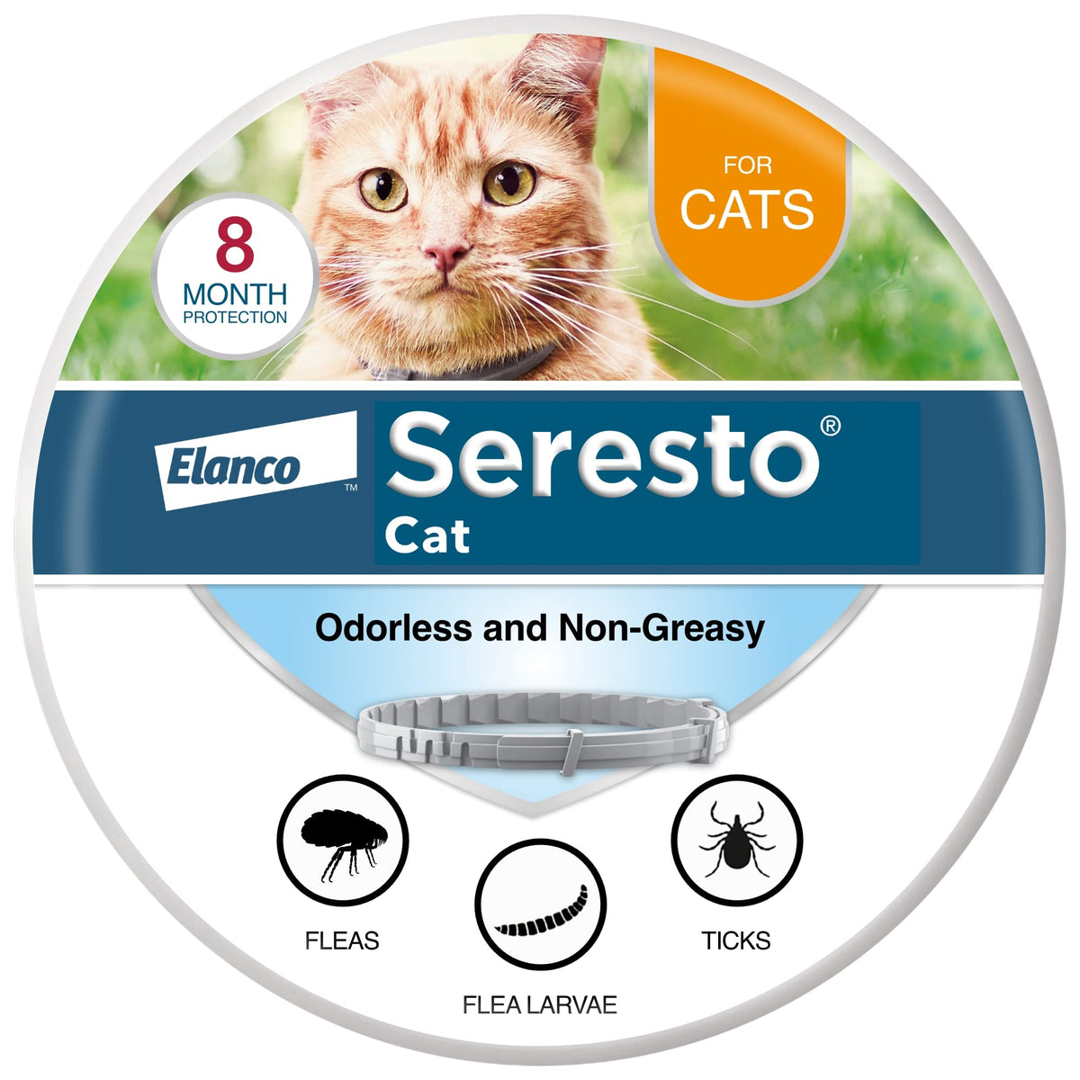 Seresto Cat collar on cat for eight-month flea protection.