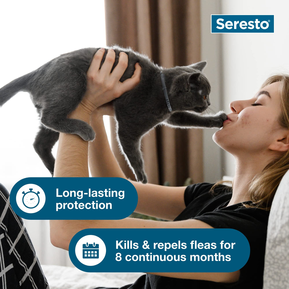Seresto Cat collar shown as water-resistant against rain.