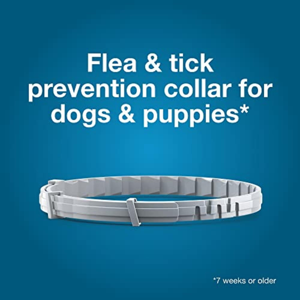Seresto dog collar water-resistant label highlights durability during rain or swim.