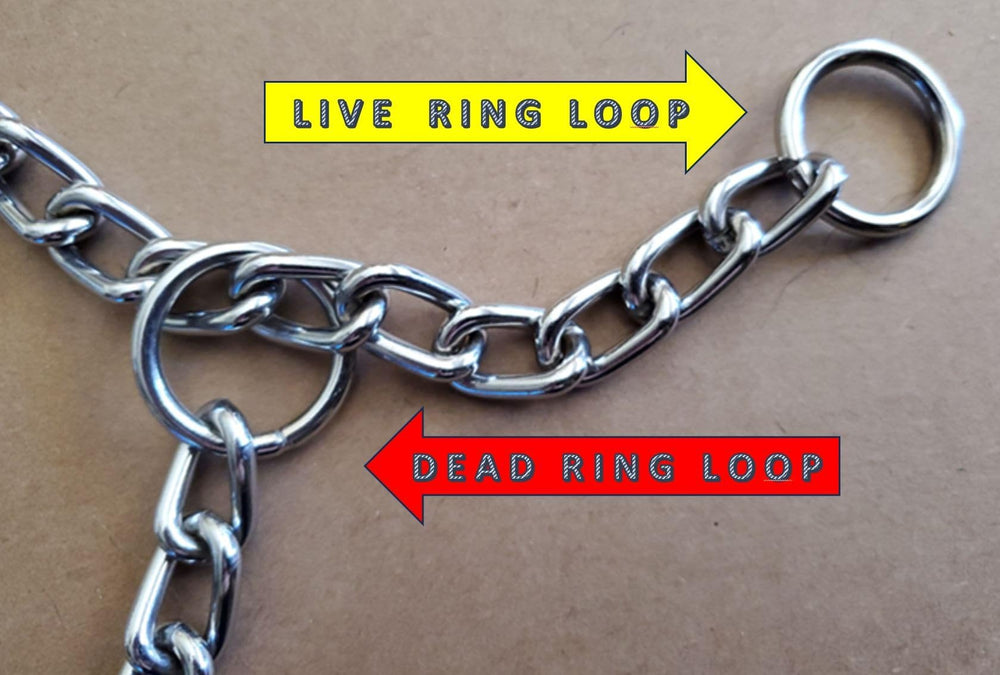 Serijoars durable everyday-use collar for active dogs