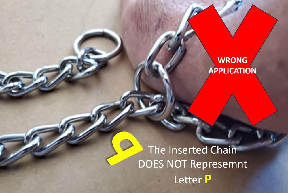 Serijoars silver finish collar suitable for a range of dogs