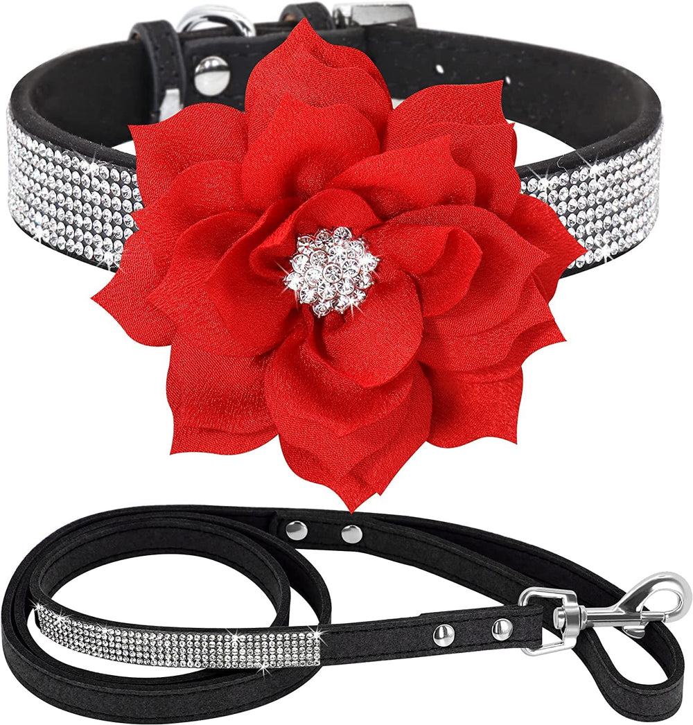 Serijoars rhinestone collar close up on Black2 for stylish daily wear