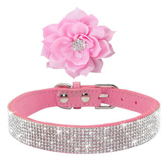 Serijoars dog collar bling pink on pet demonstrates eye-catching fashion for photos.