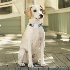 Serijoars floral print puppy collar soft cotton material gentle on skin