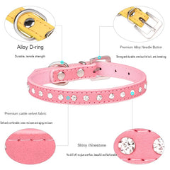 Serijoars collar on festive small dog for eye-catching holiday look