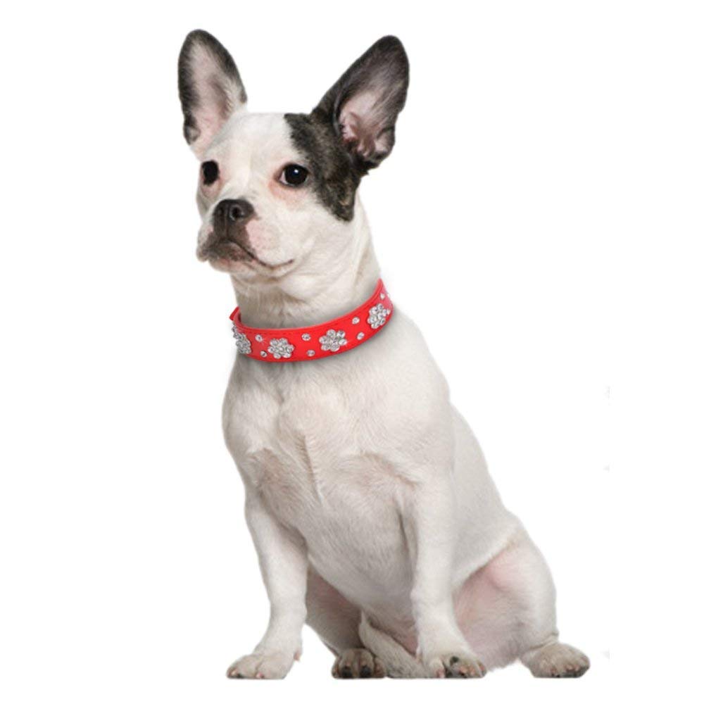 Serijoars Rhinestone collar shown during a walk demonstrates adjustable fit and comfort