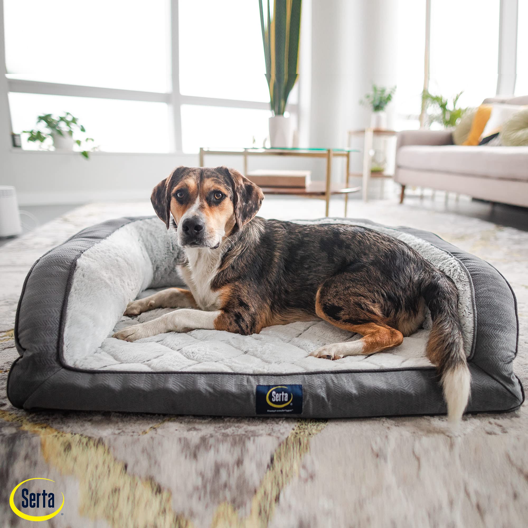 Serta foam detail highlights joint-friendly support for comfortable lounging.