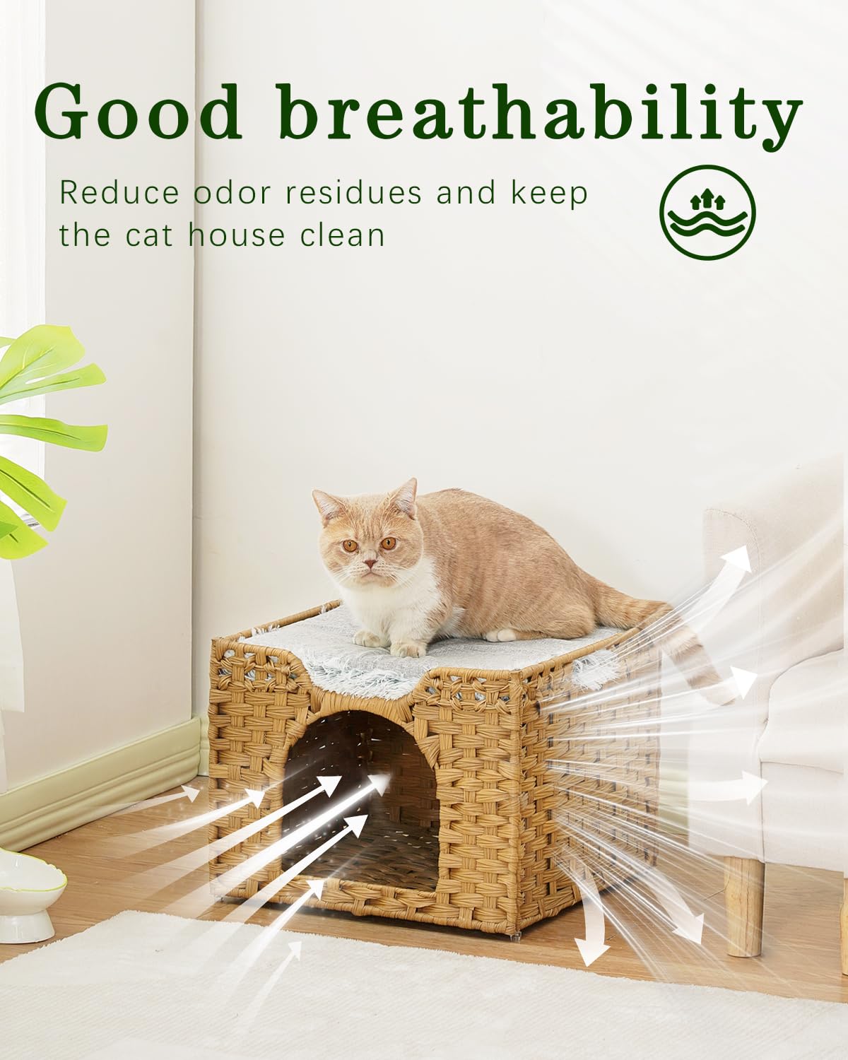 SETVSON metal-frame-cat-bed delivers sturdy support for active kittens.