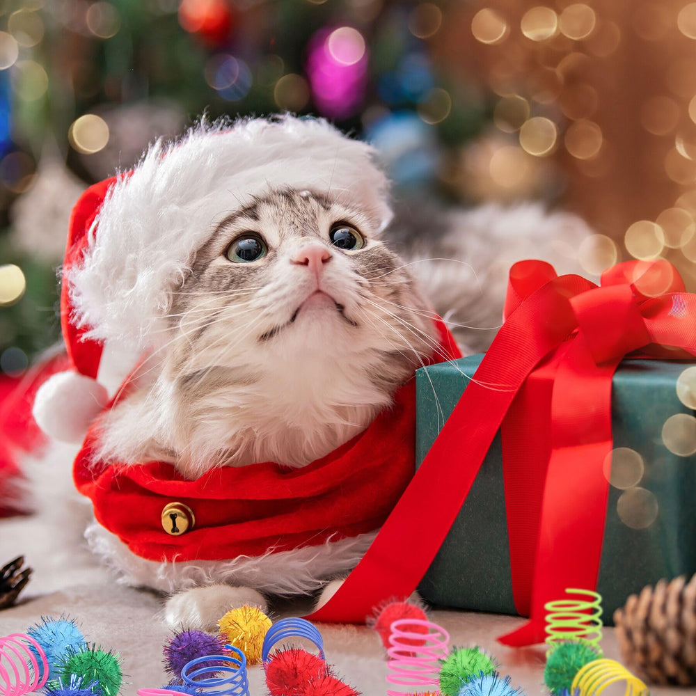 SEVENKA colorful toy set suitable for casual play and training.