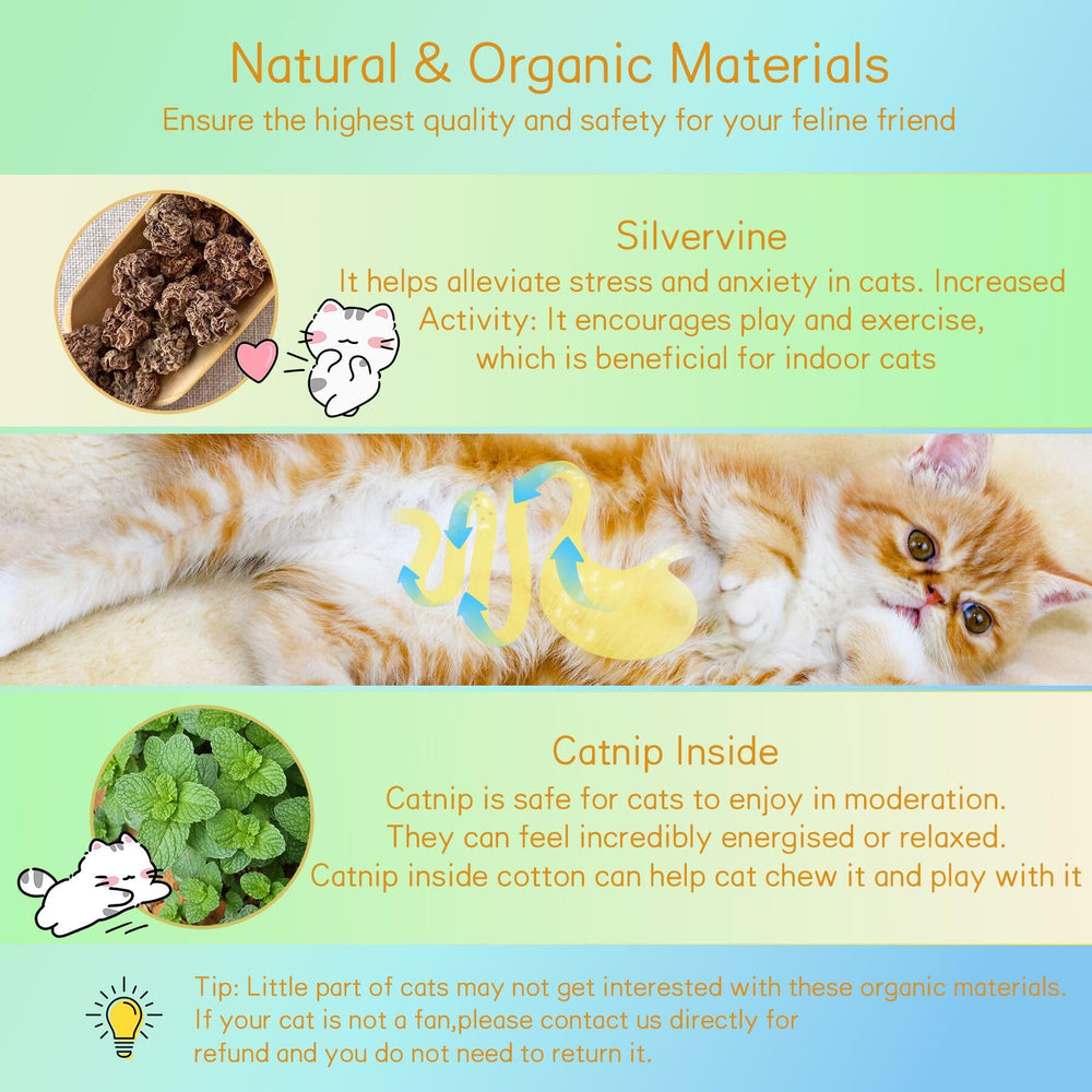 SEVENKA non-toxic-materials ensure safe, durable wall grooming accessory.