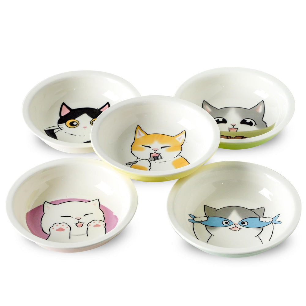 Seyatoo cat bowls with colorful kitten pattern for tidy eating