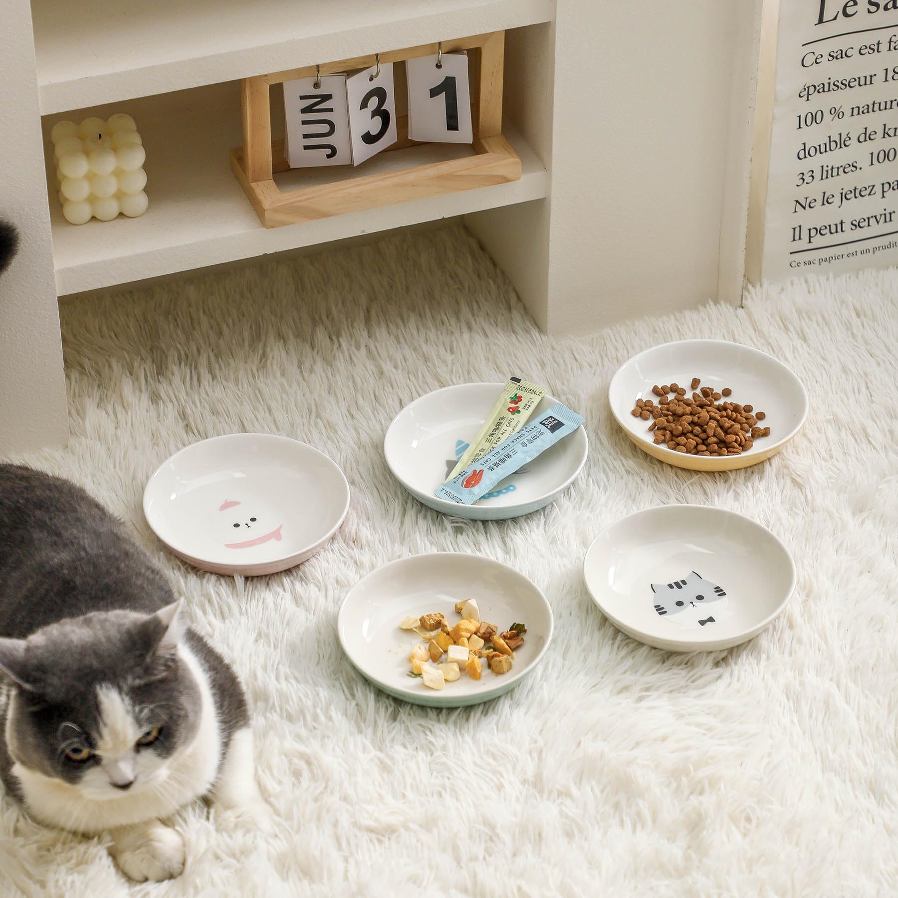 Seyatoo cat bowls smooth-inside-cleanup shows quick cleaning after meals.