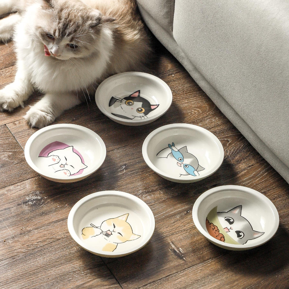 Seyatoo stackable cat bowls set for compact storage