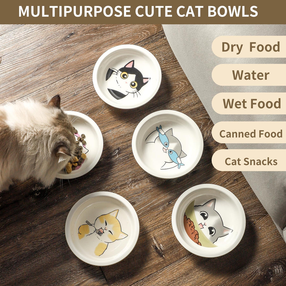Seyatoo whisker-friendly bowl supporting comfortable eating