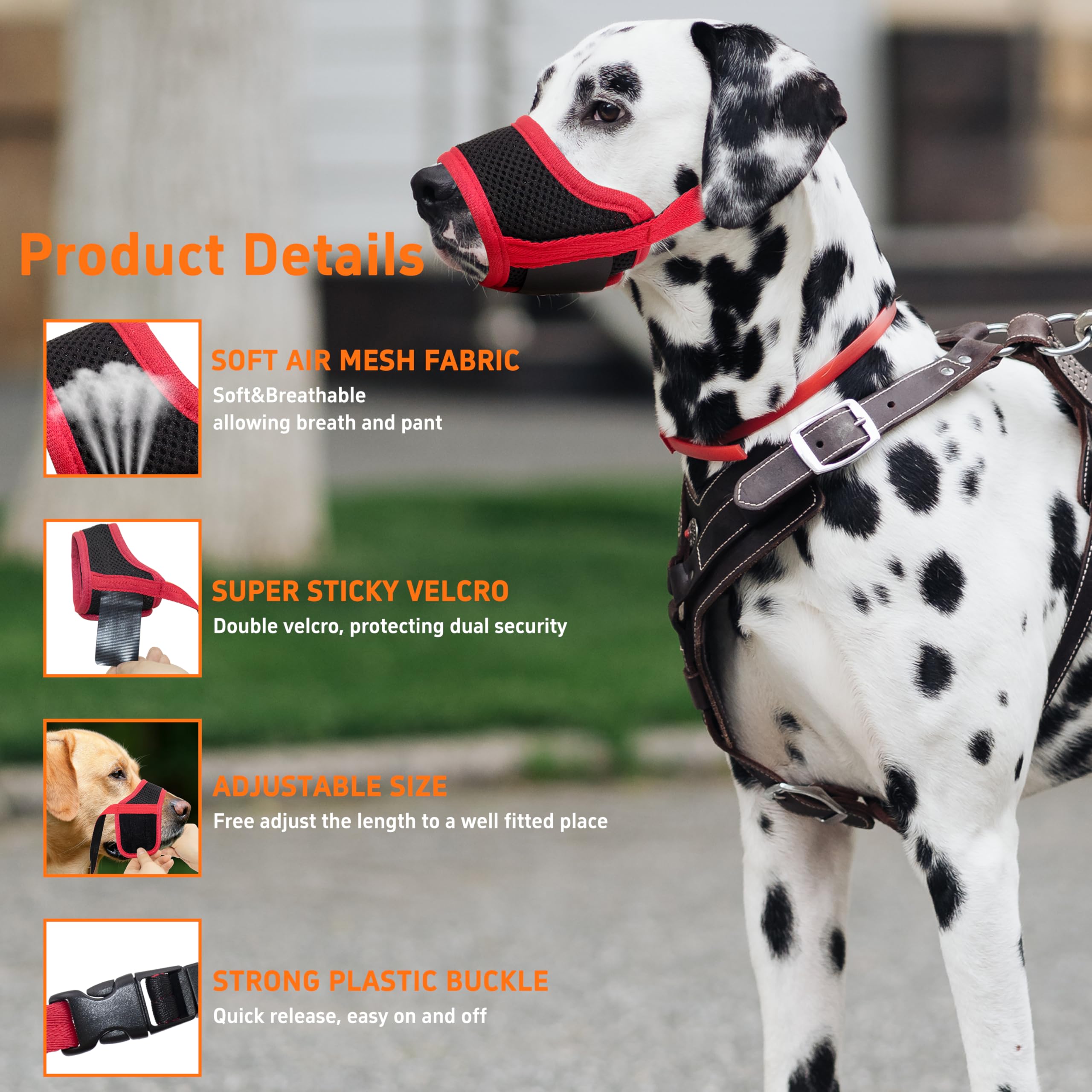Seyezo adjustable buckle close-up highlighting secure fit and easy size customization
