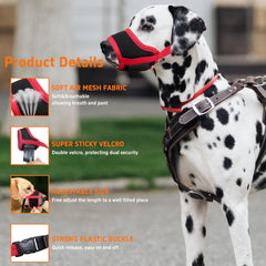 Seyezo adjustable buckle close-up highlighting secure fit and easy size customization