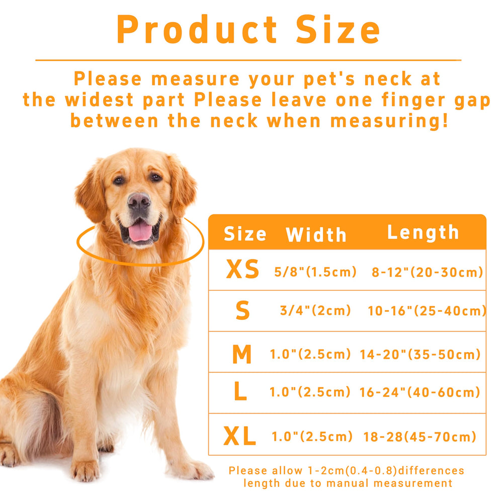 Seyezo adjustable buckle dog collar demonstrating easy on-off and secure fit