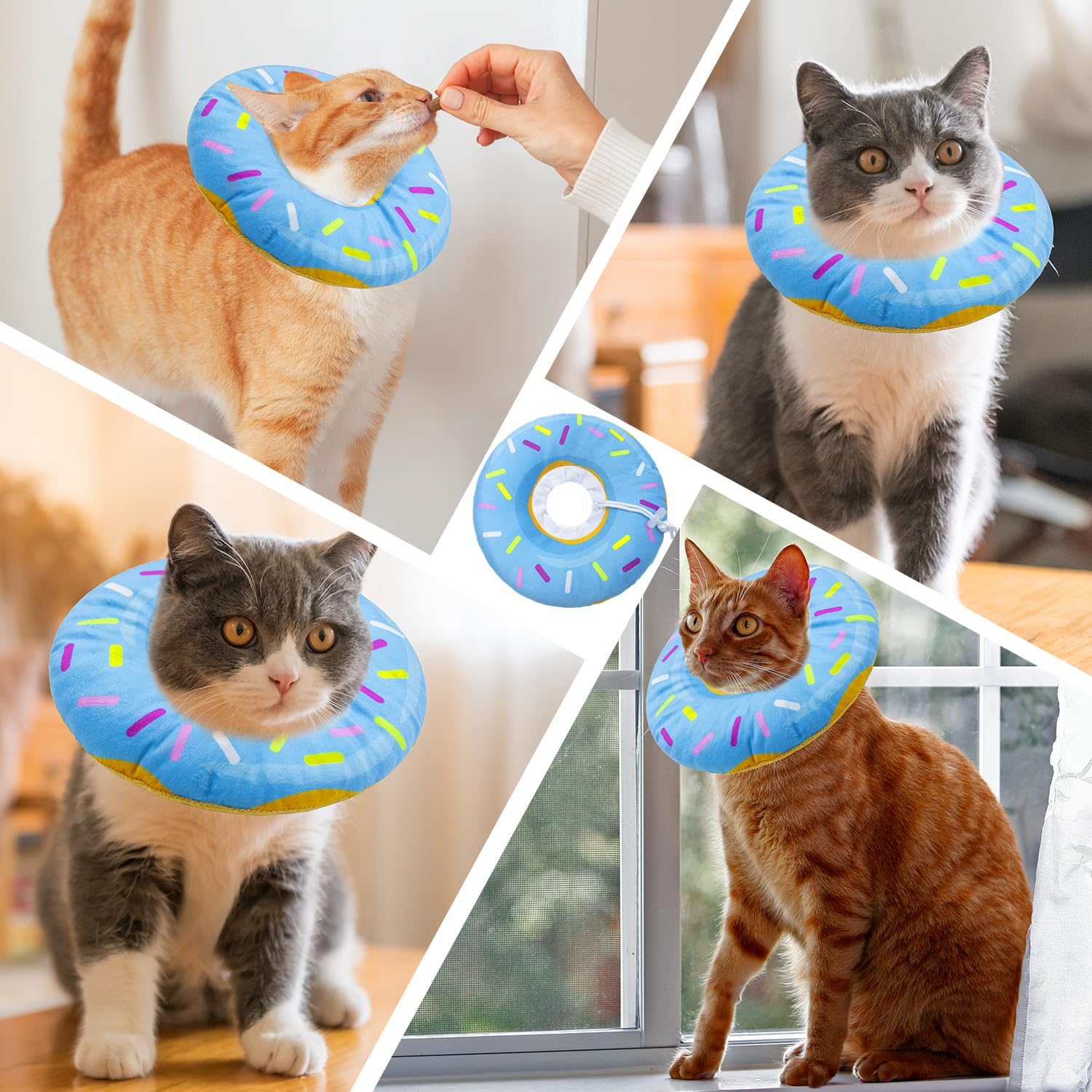Seyezo donut collar on cat during vet visit, keeps wounds protected.