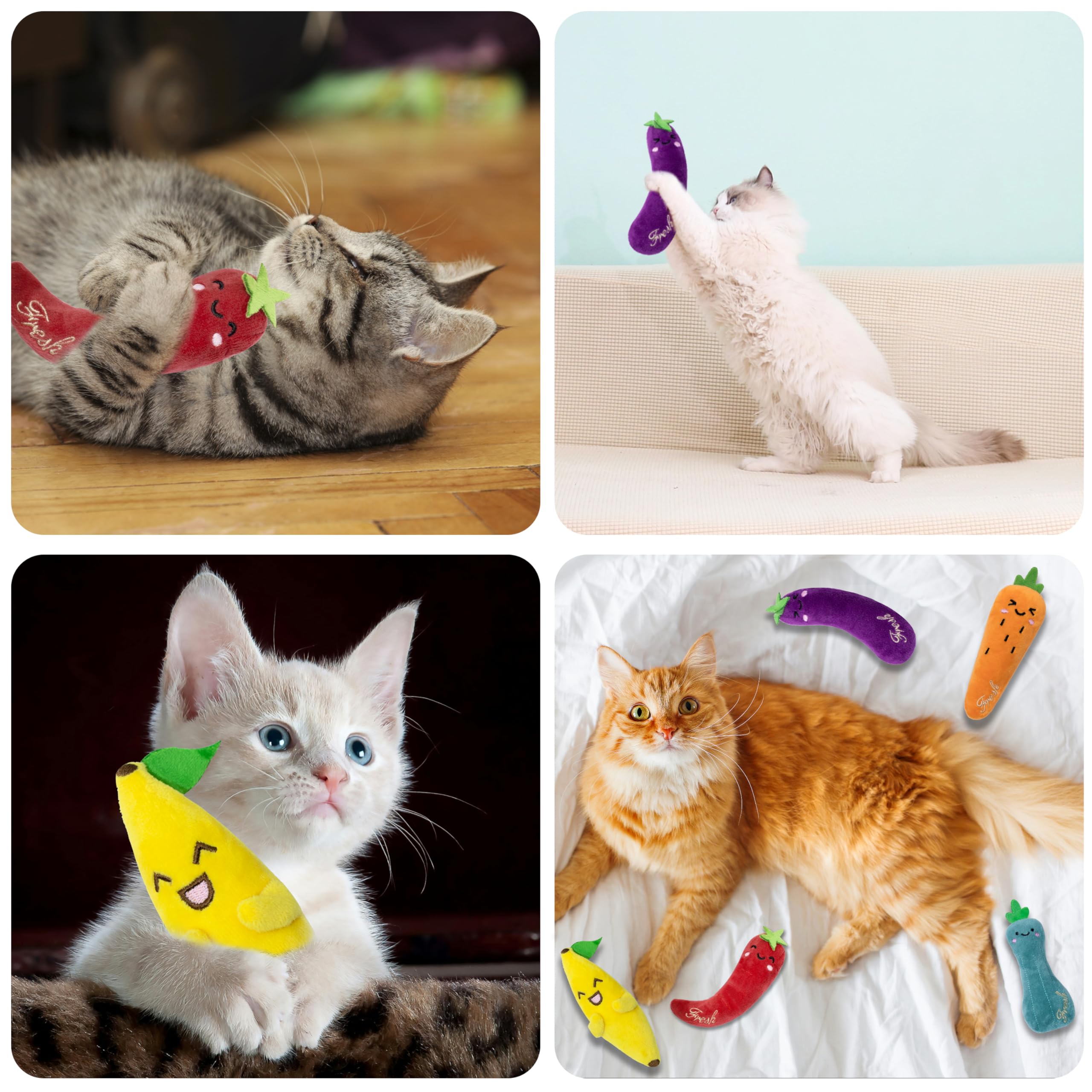 Seyezo varied shapes stimulate exploration and interactive hunting play.