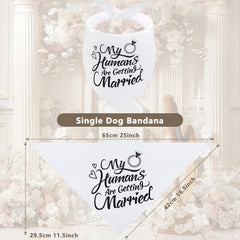 Seyezo dog bandana with 25in by 16.5in by 11.5in dimensions fits most dogs.