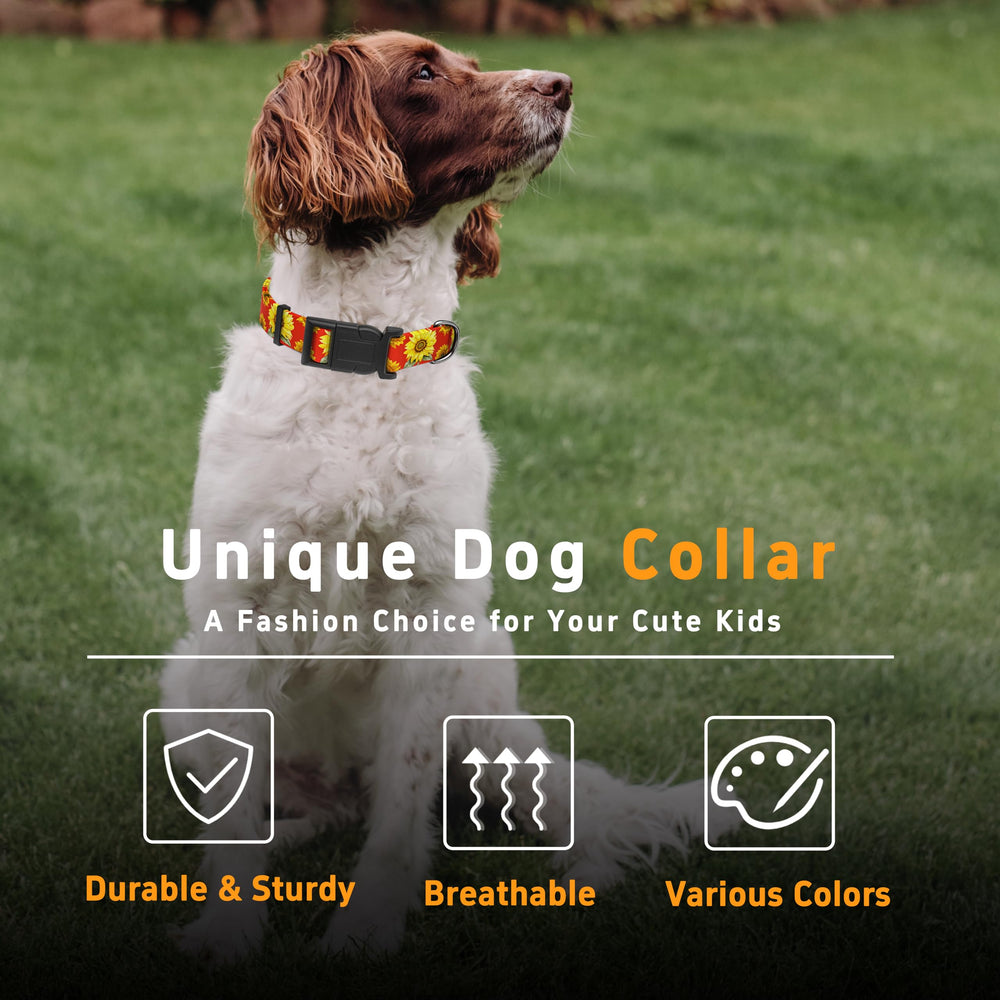 Seyezo dog collar on puppy photo shows gentle comfort around the neck