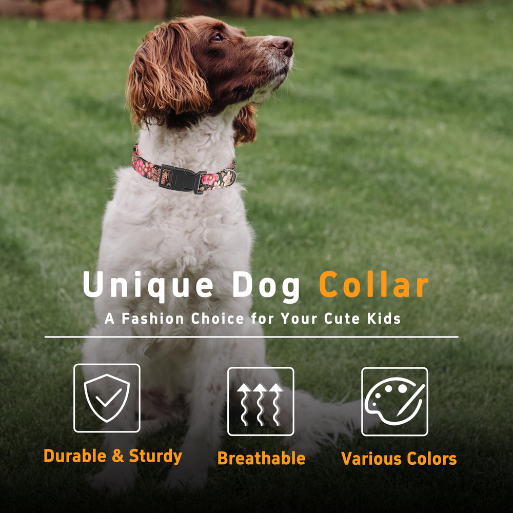 Seyezo dog collar outdoor-walk durable polyester for daily adventures.
