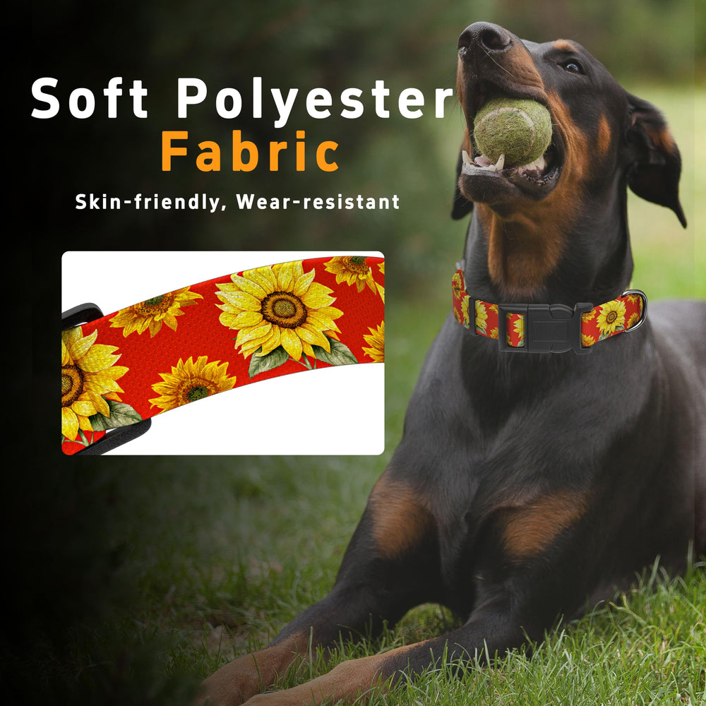 Seyezo dog collar strap durability image emphasizing long-lasting wear