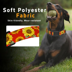 Seyezo dog collar strap durability image emphasizing long-lasting wear