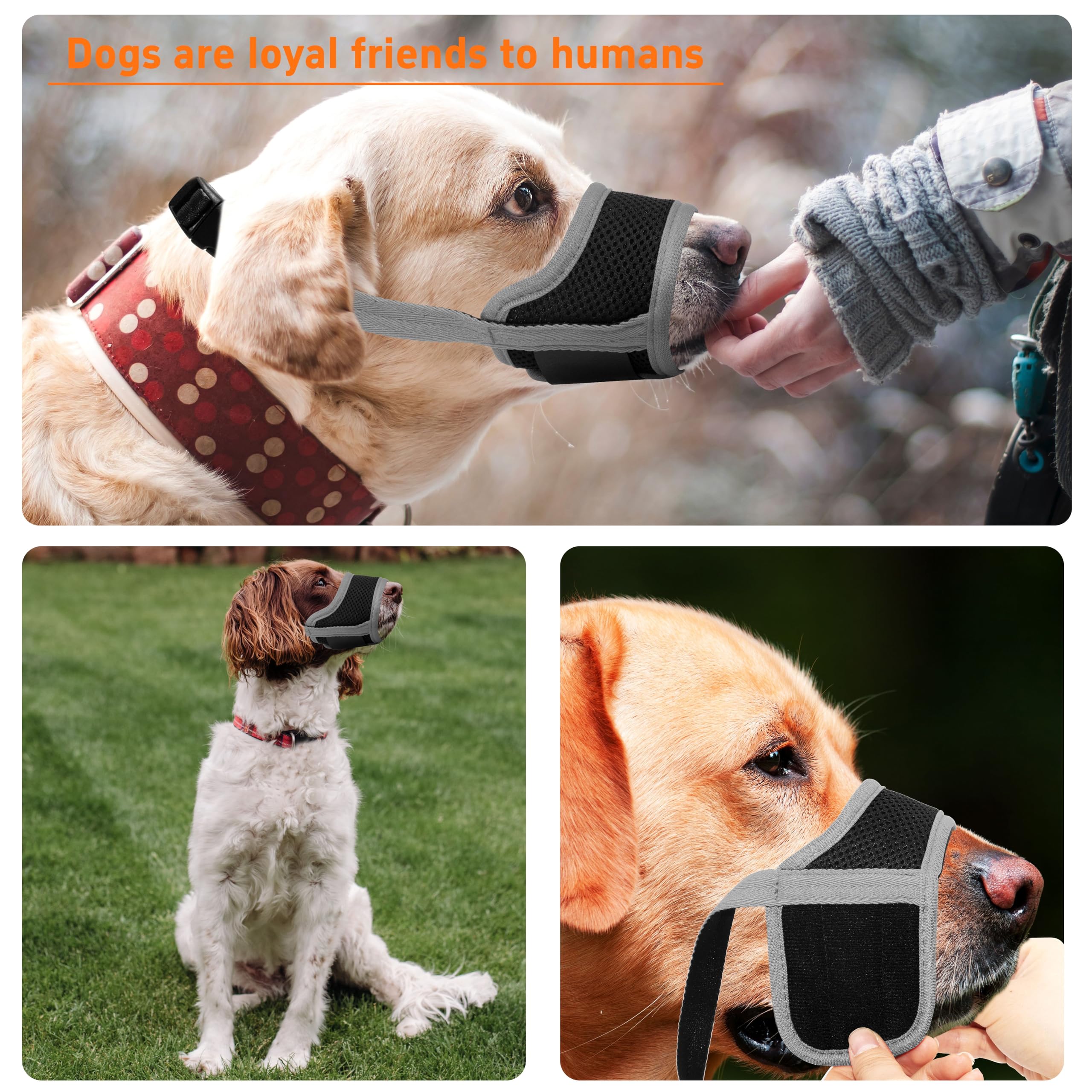 Seyezo dog muzzle six-sizes-grey-xl demonstrates versatile fit for most dogs