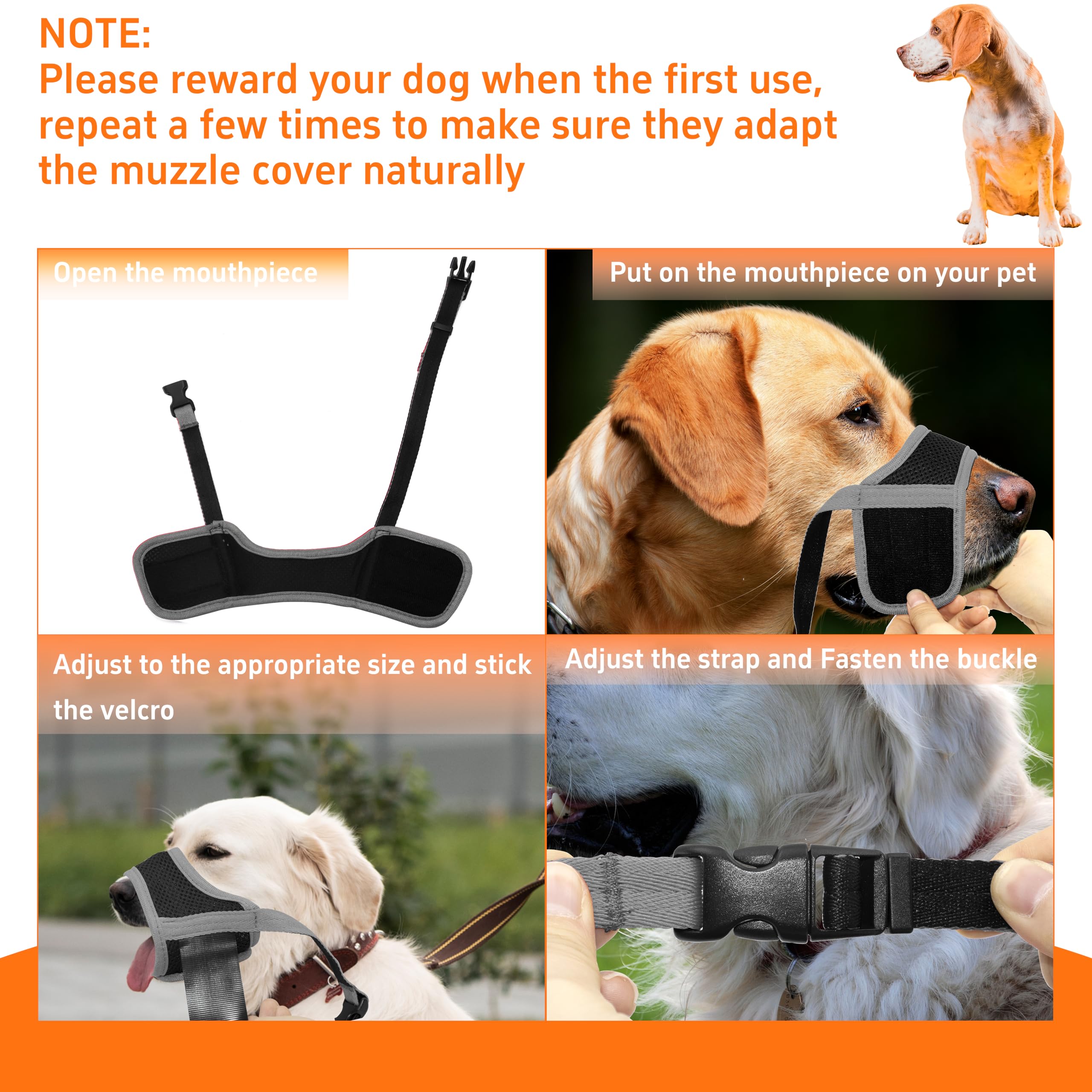 Seyezo dog muzzle wearing photo illustrating comfort during walks