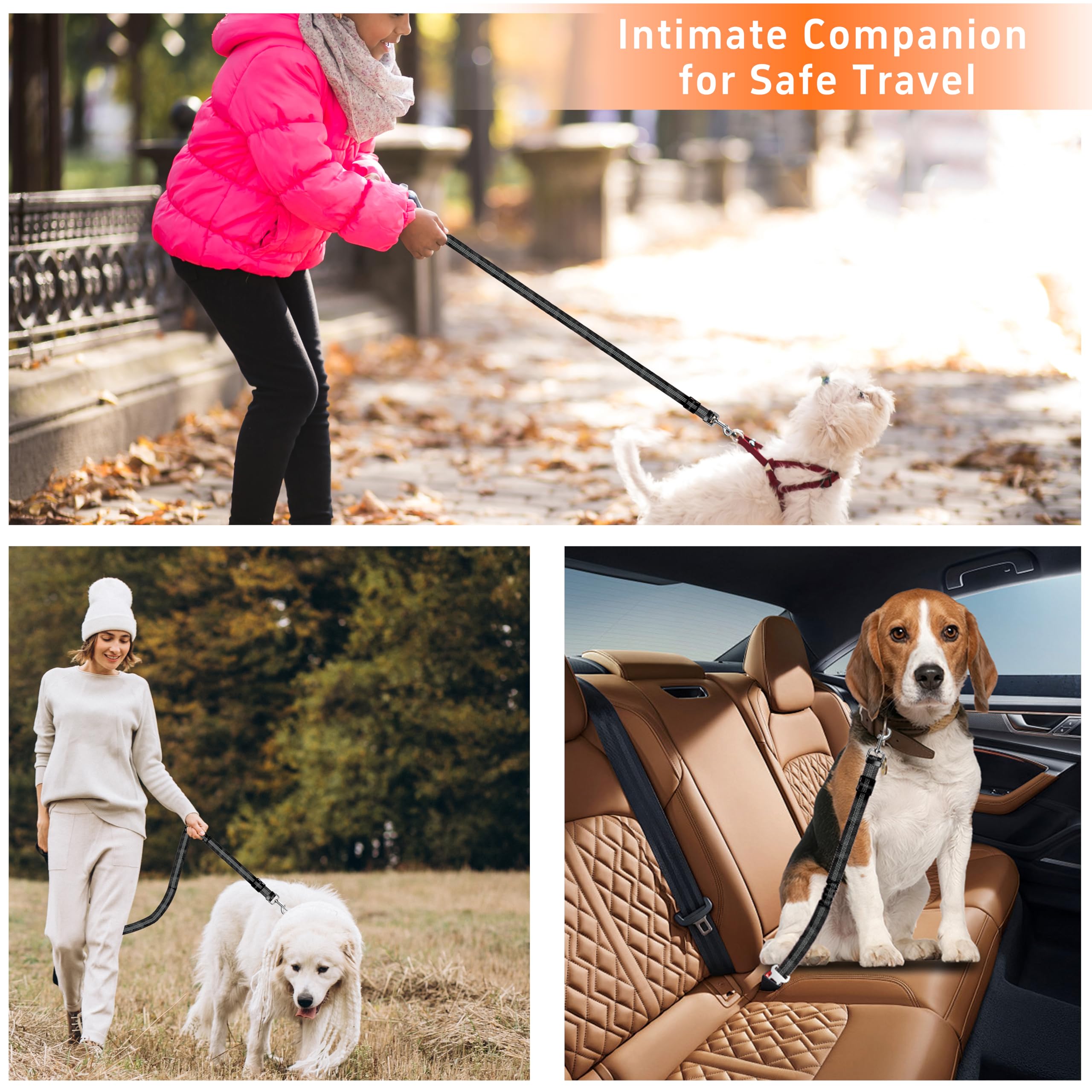 Seyezo closeup of clip and strap for secure fastening.