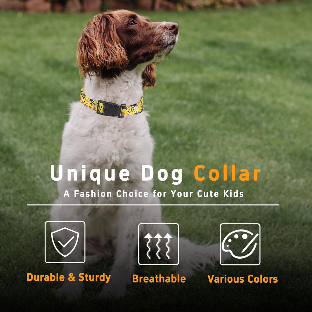 Seyezo dog wearing yellow floral collar during outdoor play.