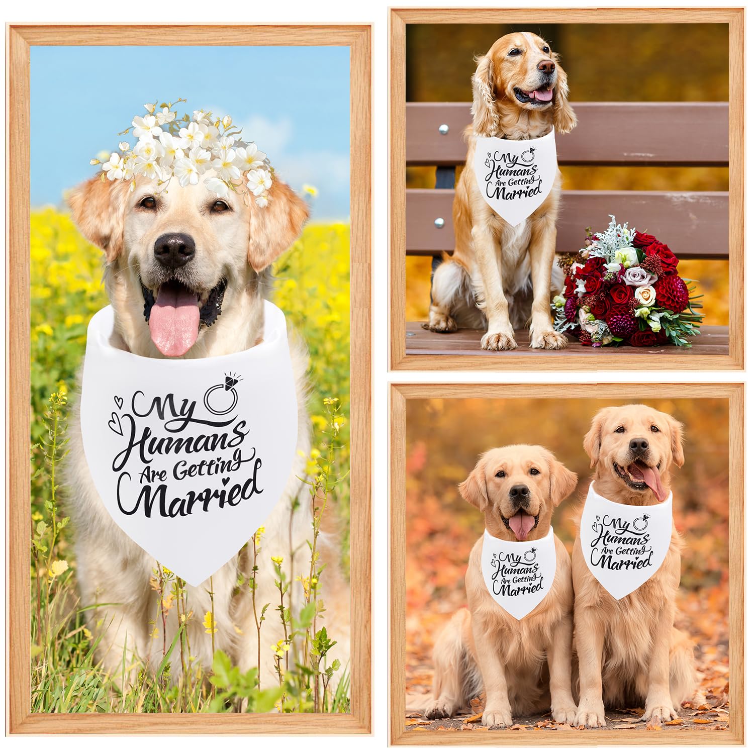 Seyezo holiday photo prop dog bandana brightens party pictures.