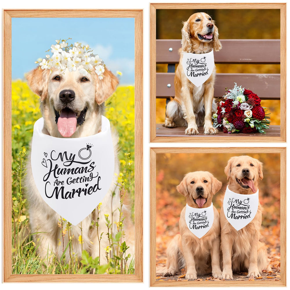 Seyezo holiday photo prop dog bandana brightens party pictures.