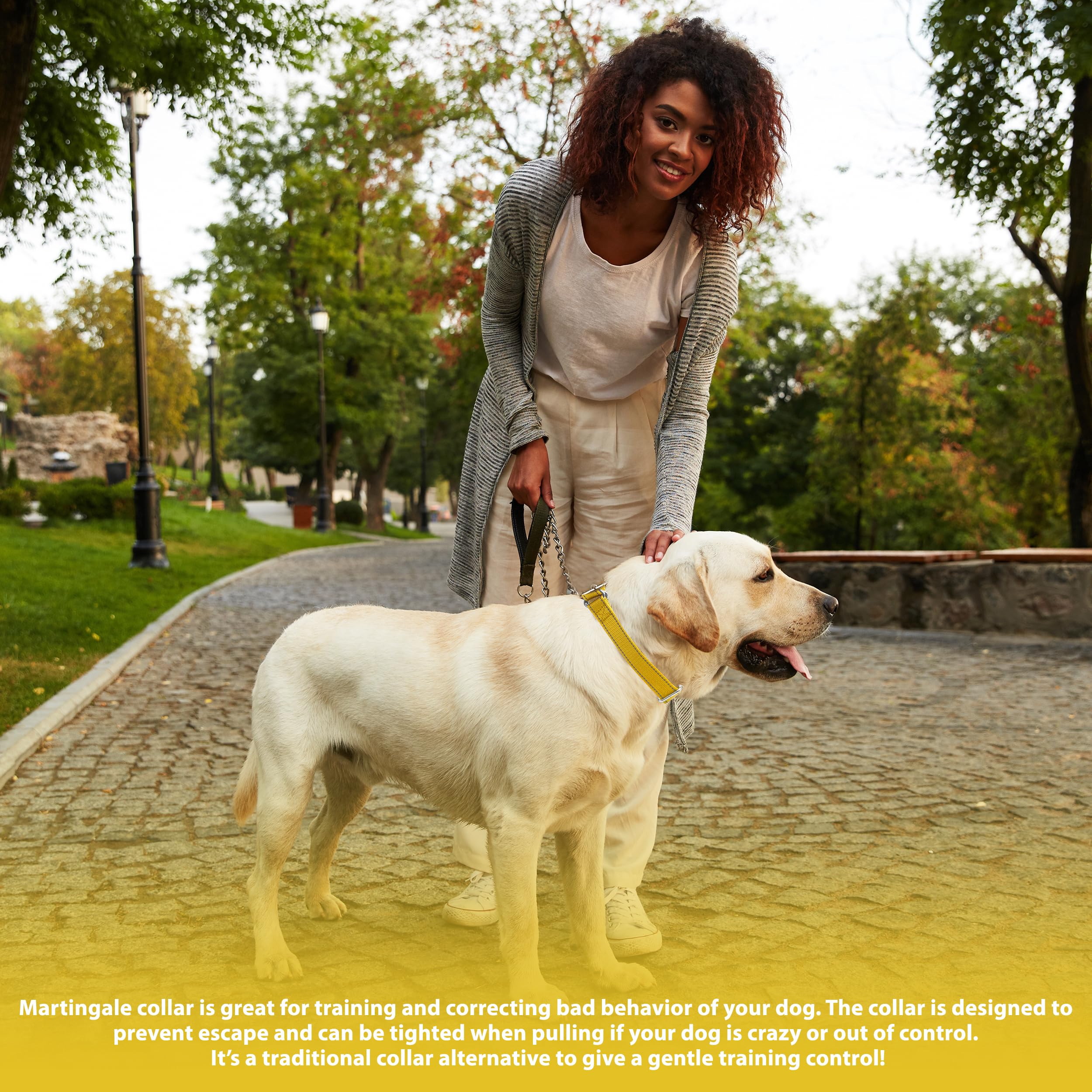 Seyezo martingale collar night-walk safety through reflective features.