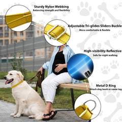 Seyezo martingale collar reflective threads improves nighttime visibility.