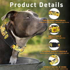 Seyezo pet collar with quick-release buckle shown for safe, easy on/off.