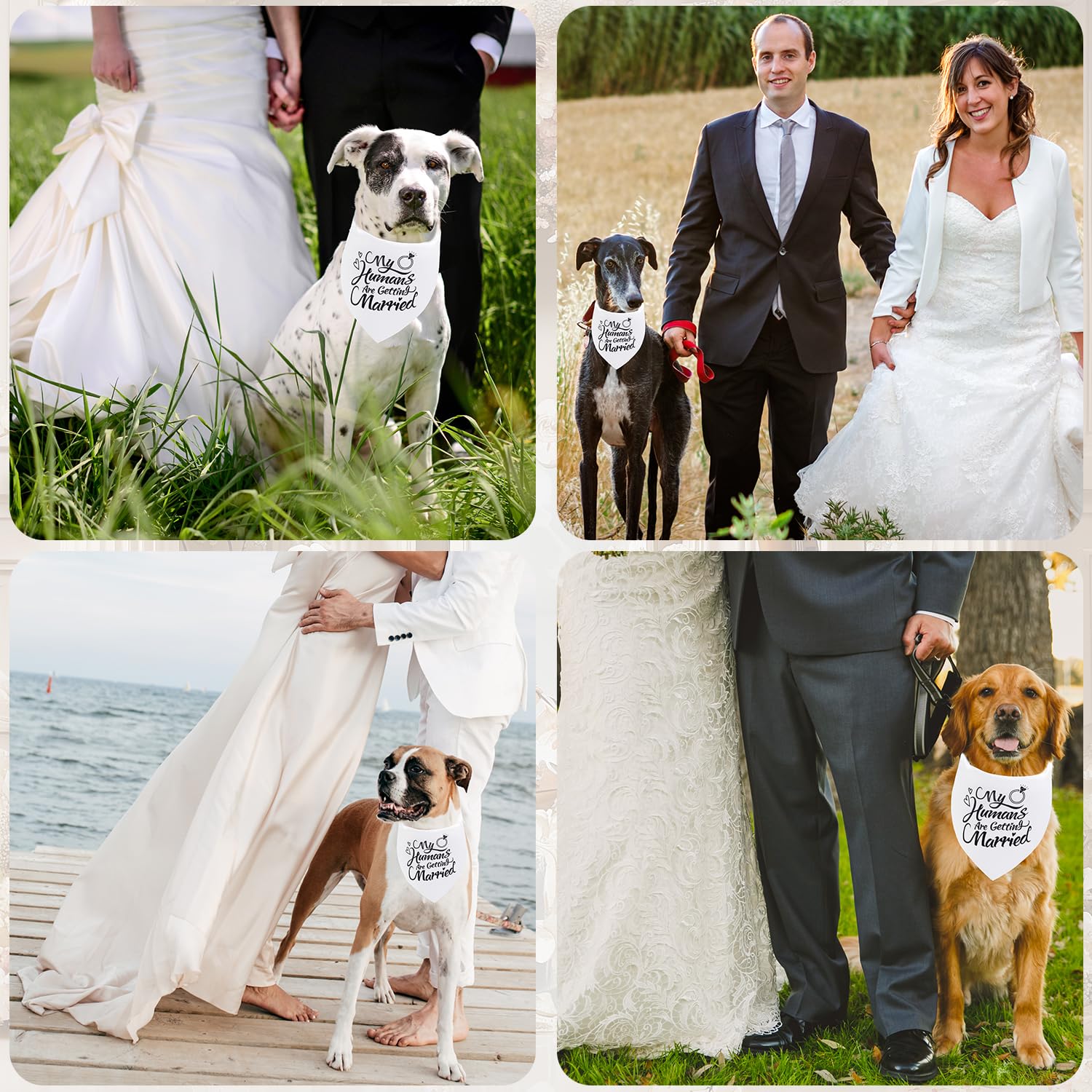 Seyezo pet scarf dog bandana serves as a stylish wedding accessory.
