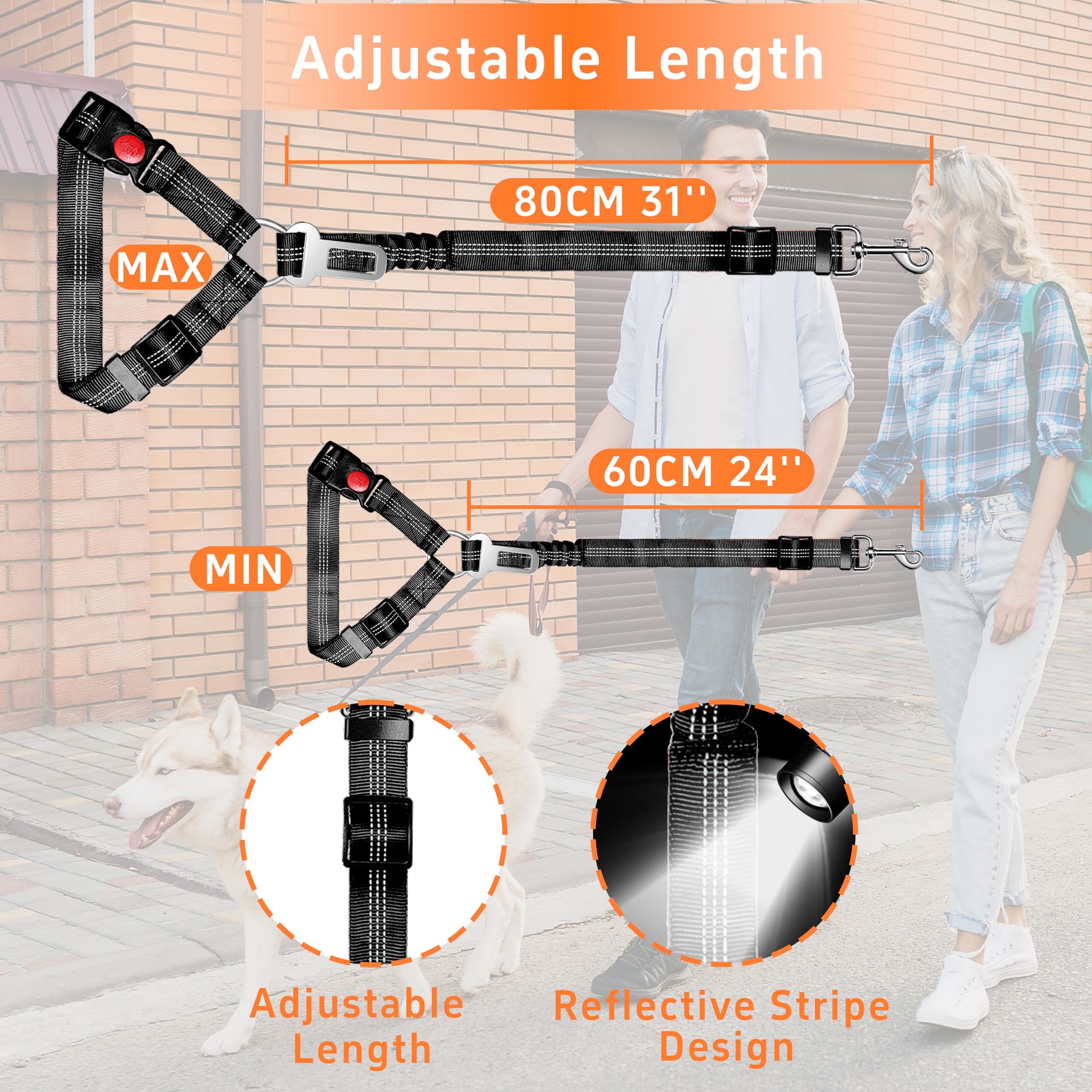 Seyezo poop bag holder complements safety setup.