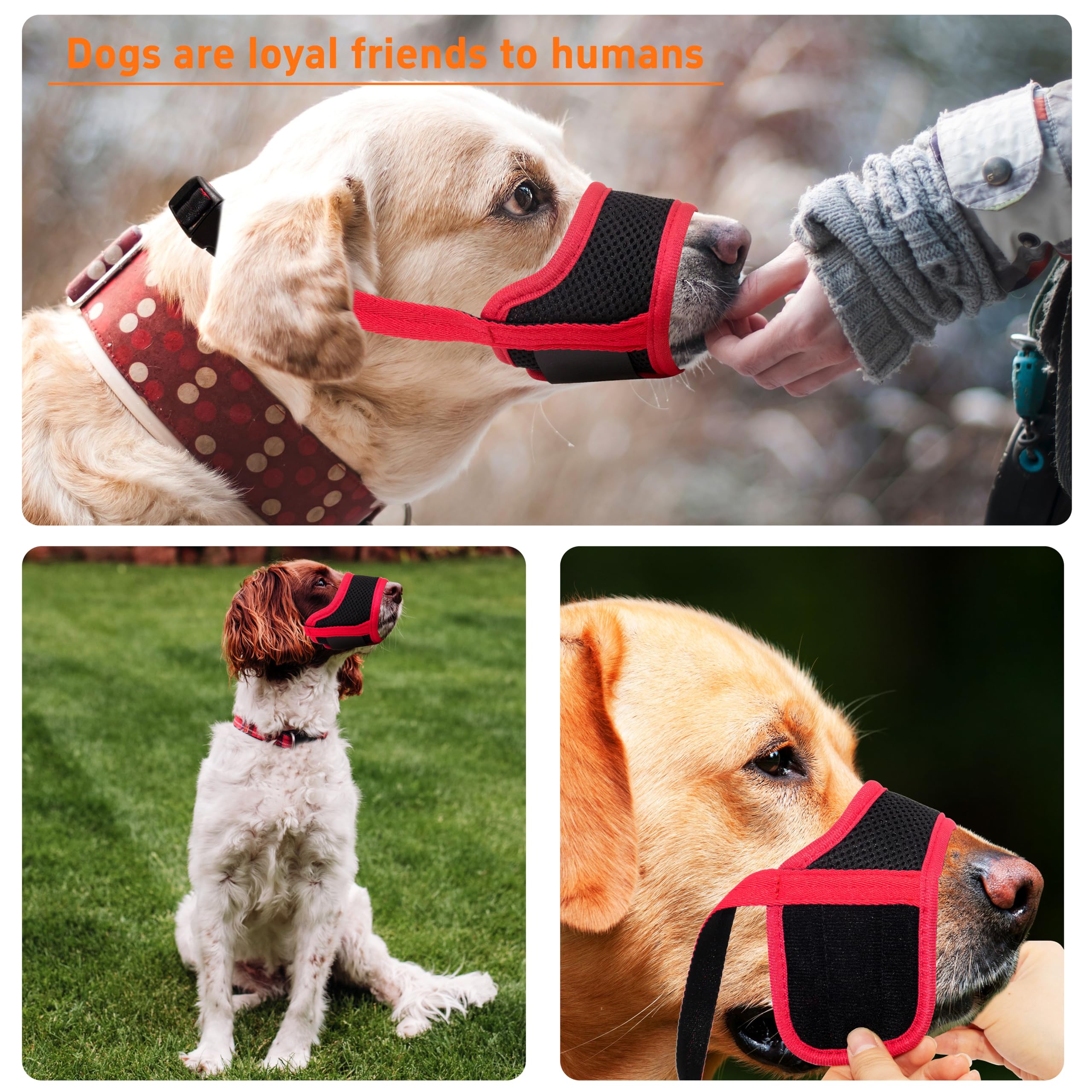 Seyezo safe socializing muzzle image shows breath and panting capability in public