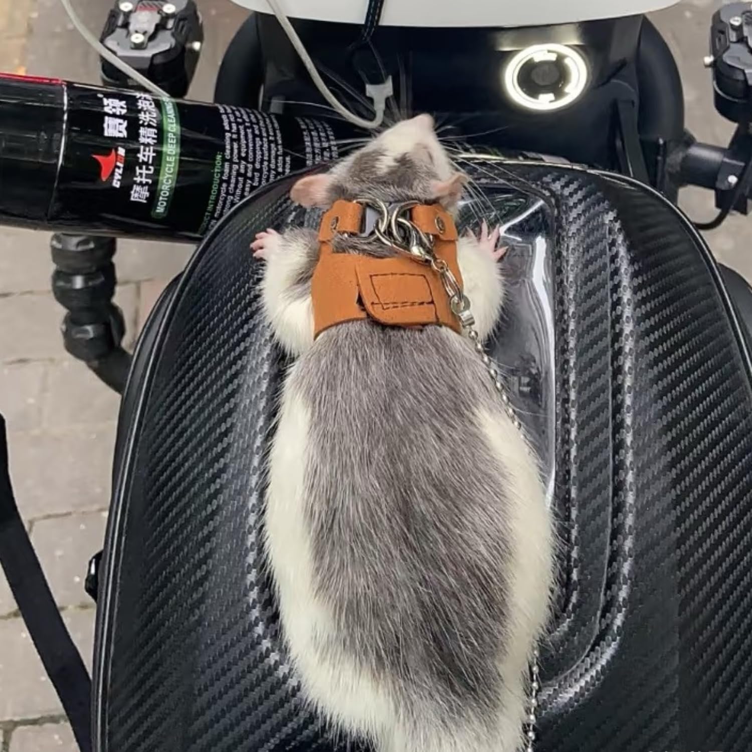 SEZDEKI anti bite chain adds safety during outdoor walks.